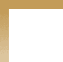 Vector Icon