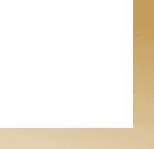 Vector Icon